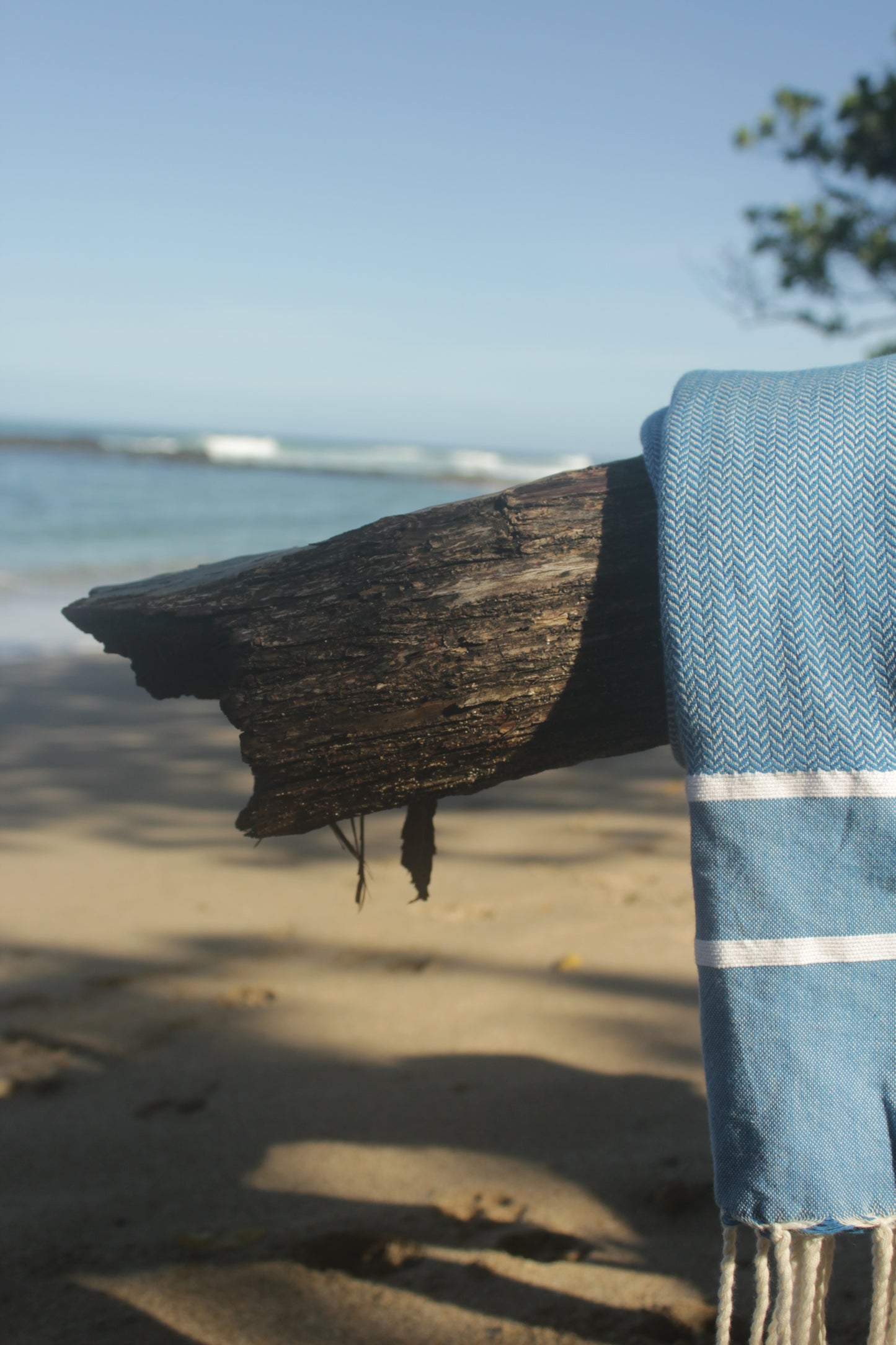 Horus Ocean Blue