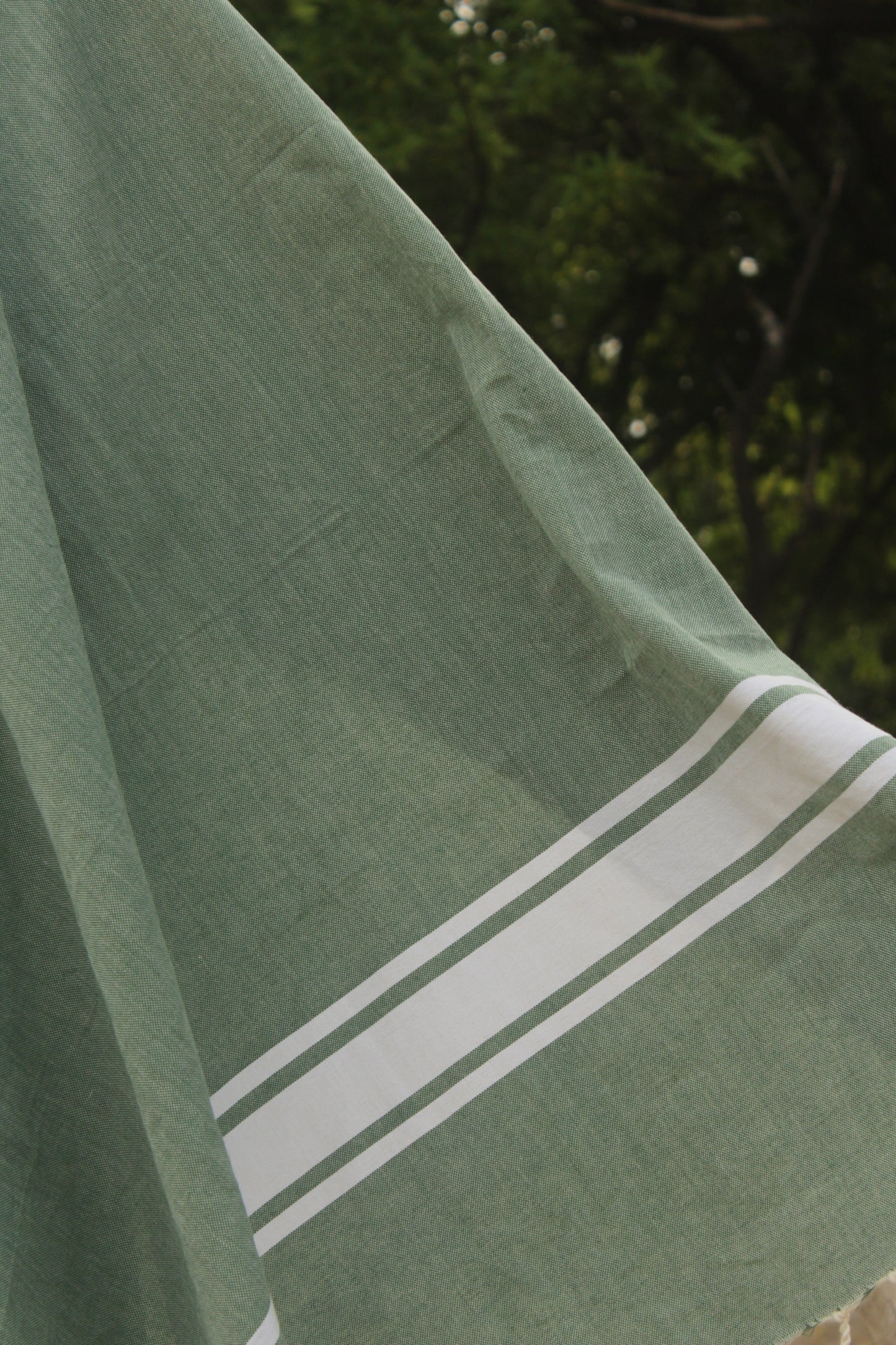 Nefertiti Olive Green