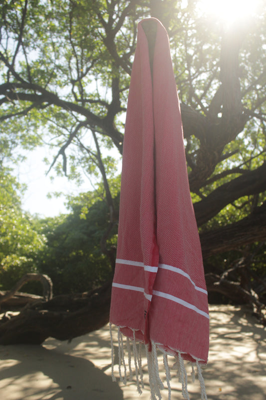 Horus Hibiscus Red